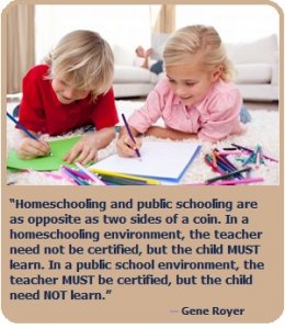 Homeschool vs Public Schools: Which Is a Better Choice for Your Kids ...