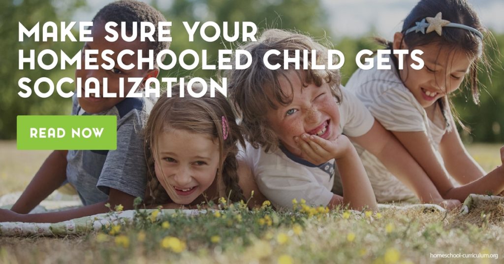 Make Sure Your Homeschooled Child Gets Socialization home education